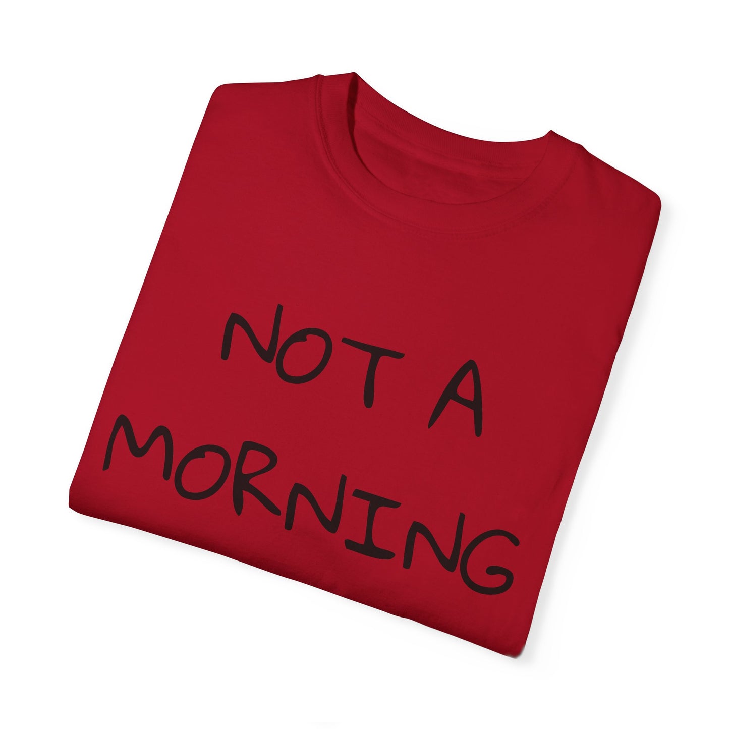 Unisex Garment-Dyed T-Shirt - 'Not a Morning Person'